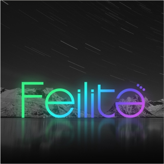 Upgrade Enterprise  Culture and Set Up  New Brand-FEILITE